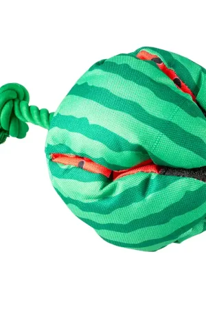 Snackspeeltje watermeloen Uitverkoop